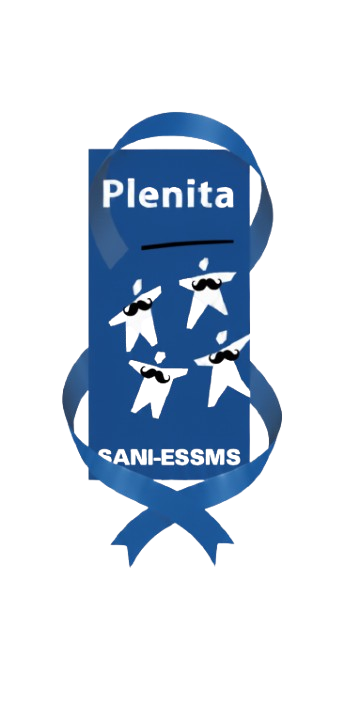 logo plenita