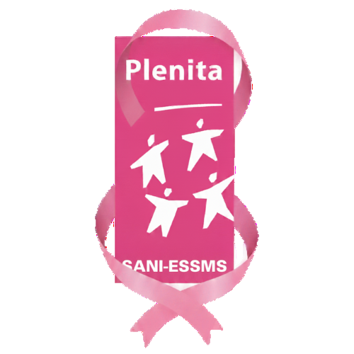 Logo minisite